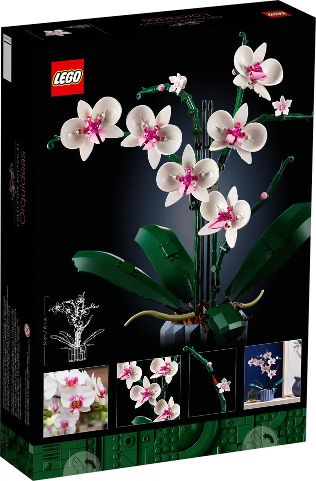 10311 ORCHID