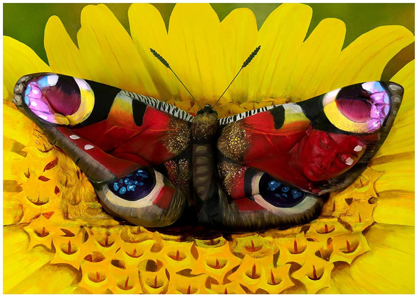 FINE ART BODY PAINTING BUTTERFLY PUZZLE