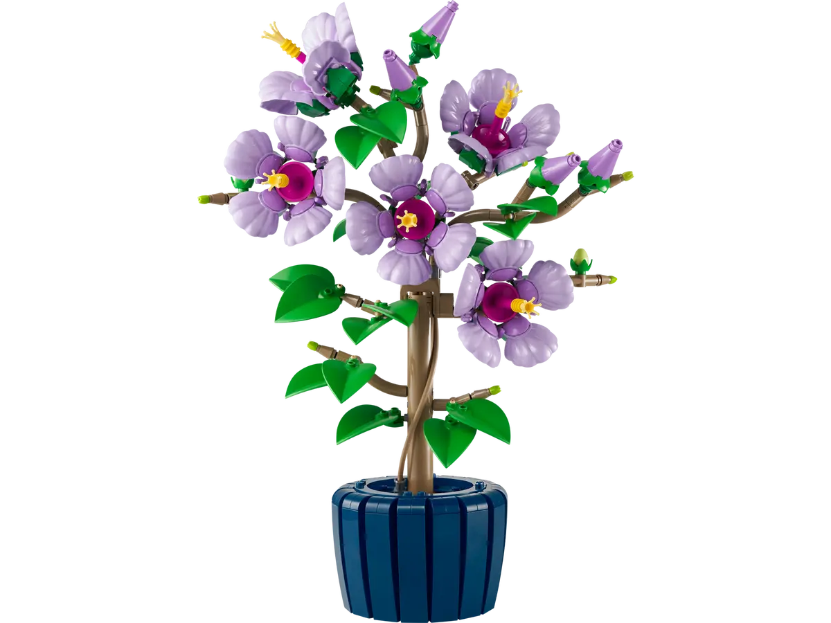 10372 HIBISCUS