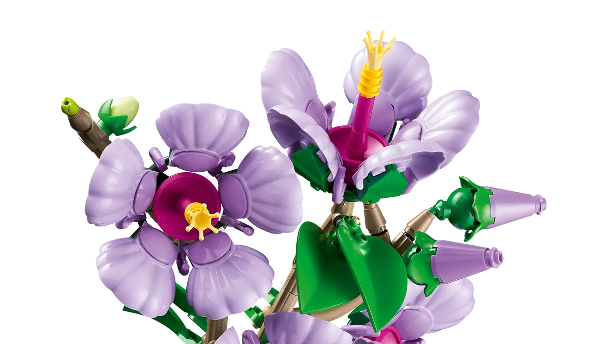 10372 HIBISCUS
