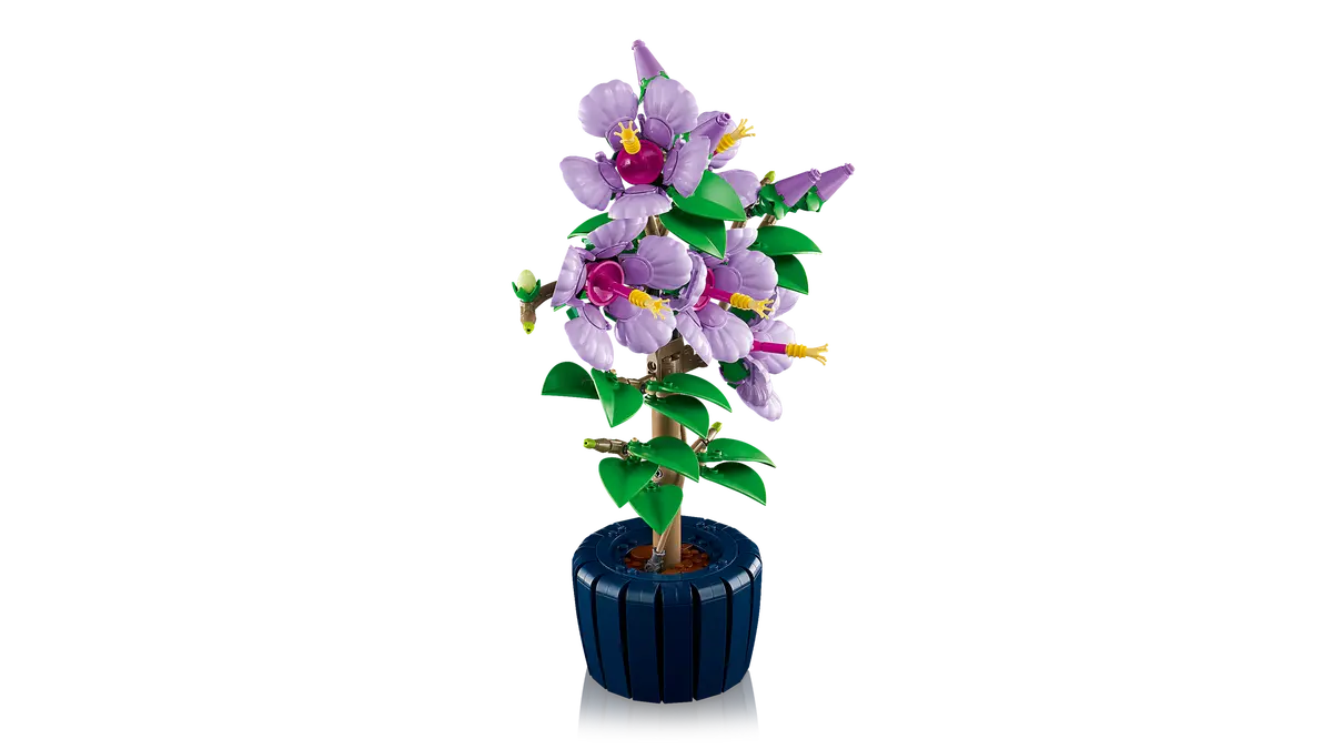 10372 HIBISCUS