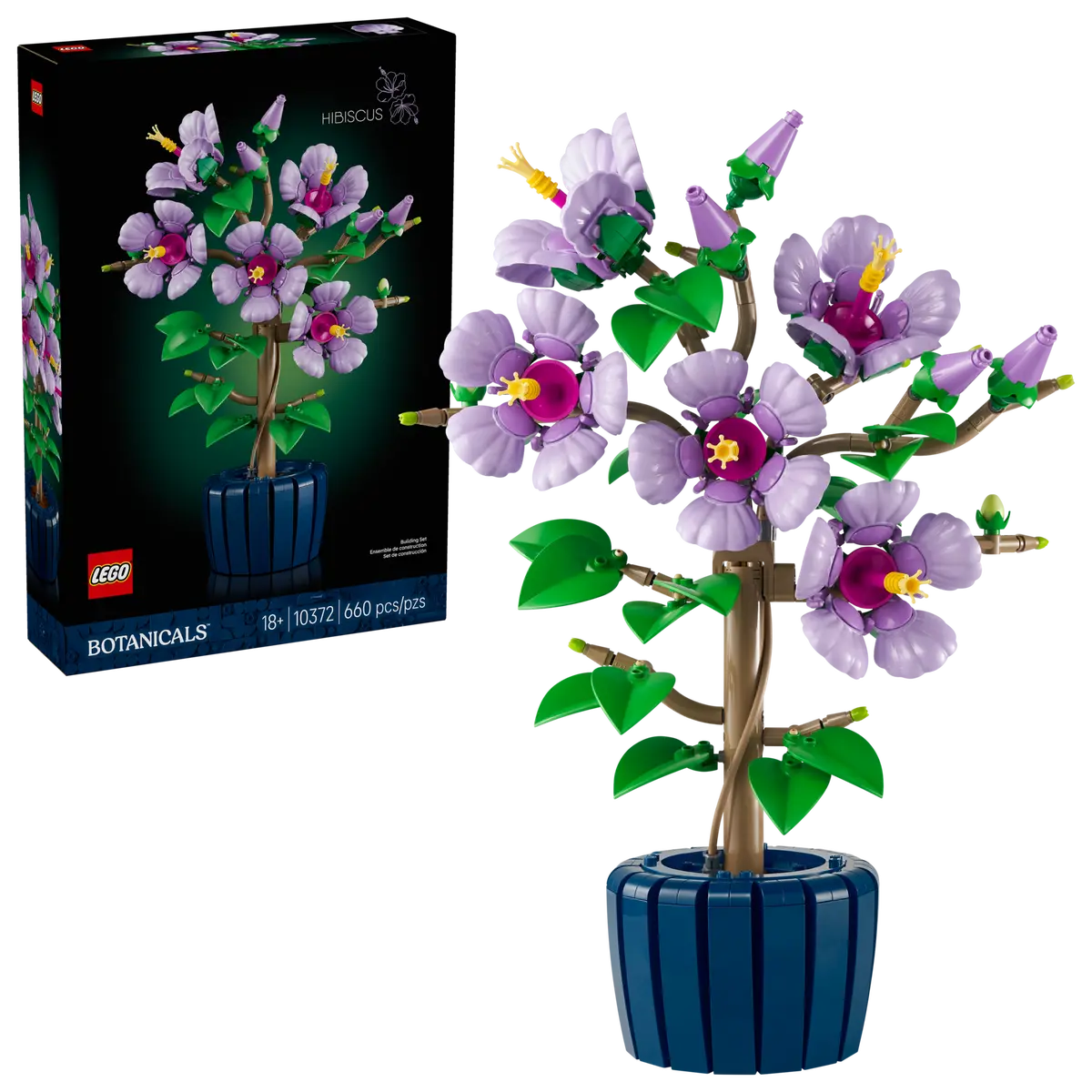 10372 HIBISCUS