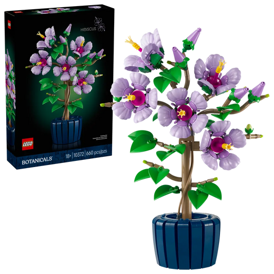 10372 HIBISCUS