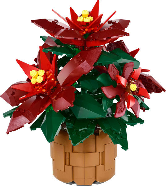 10370 POINSETTIA