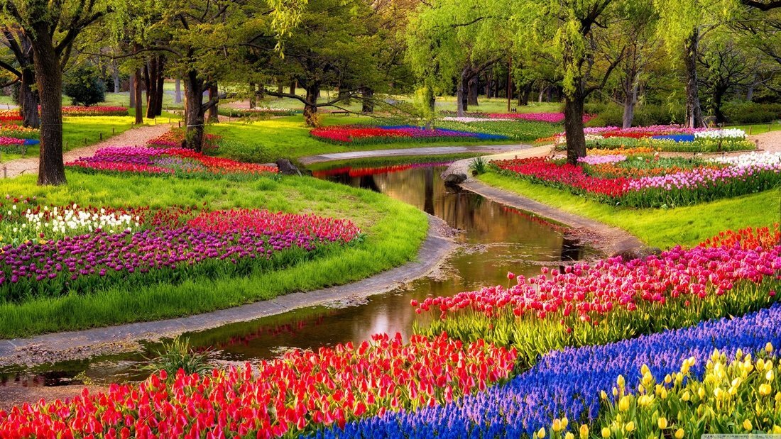 Tulip Garden 7"x 14.5" Starz Puzzle