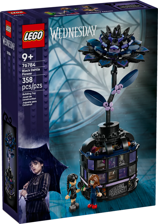 76784 BLACK DAHLIA FLOWER