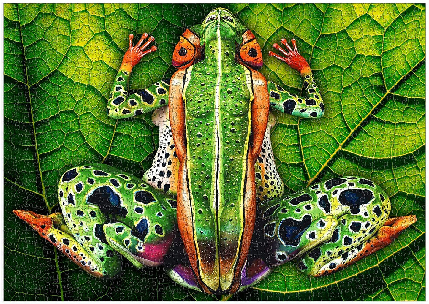 BODY PAINTING FROG PUZZLE 1000PC