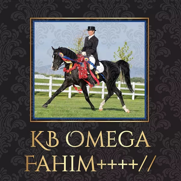 BREYER KB OMEGA FAHIM ARABIAN STALLION NO.1846