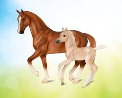 POWER AND PRECISION   WARMBLOOD STALLION & FOAL