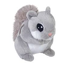 JAPANESE FLYING SQUIRREL